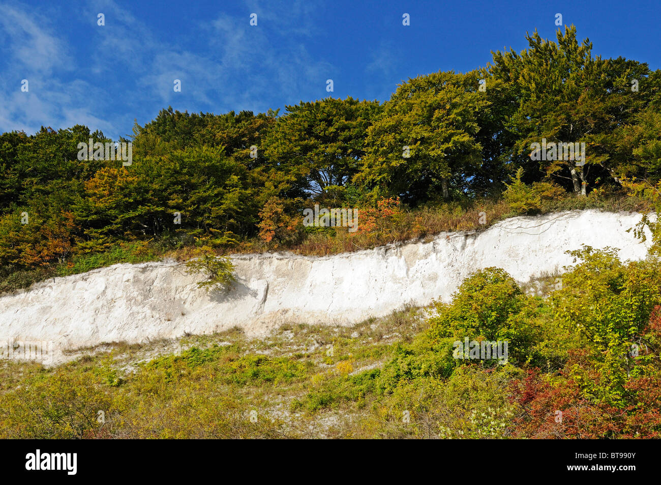 Kreide-Schicht in den Kreidefelsen im Nationalpark Jasmund, Halbinsel Jasmund, Insel Rügen, Mecklenburg-Vorpommern Stockfoto