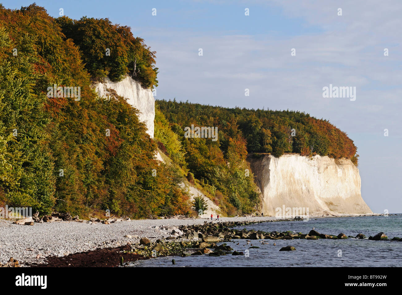 Strand und Kreide Klippen an der Ostsee im Nationalpark Jasmund, Halbinsel Jasmund, Insel Rügen Stockfoto