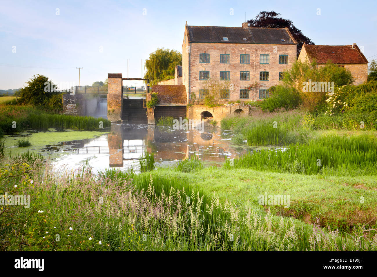 Frühen Morgennebel auf Thorney Mill auf dem Fluß Parrett in der Nähe von Kingsbury Episcopi in Somerset Stockfoto