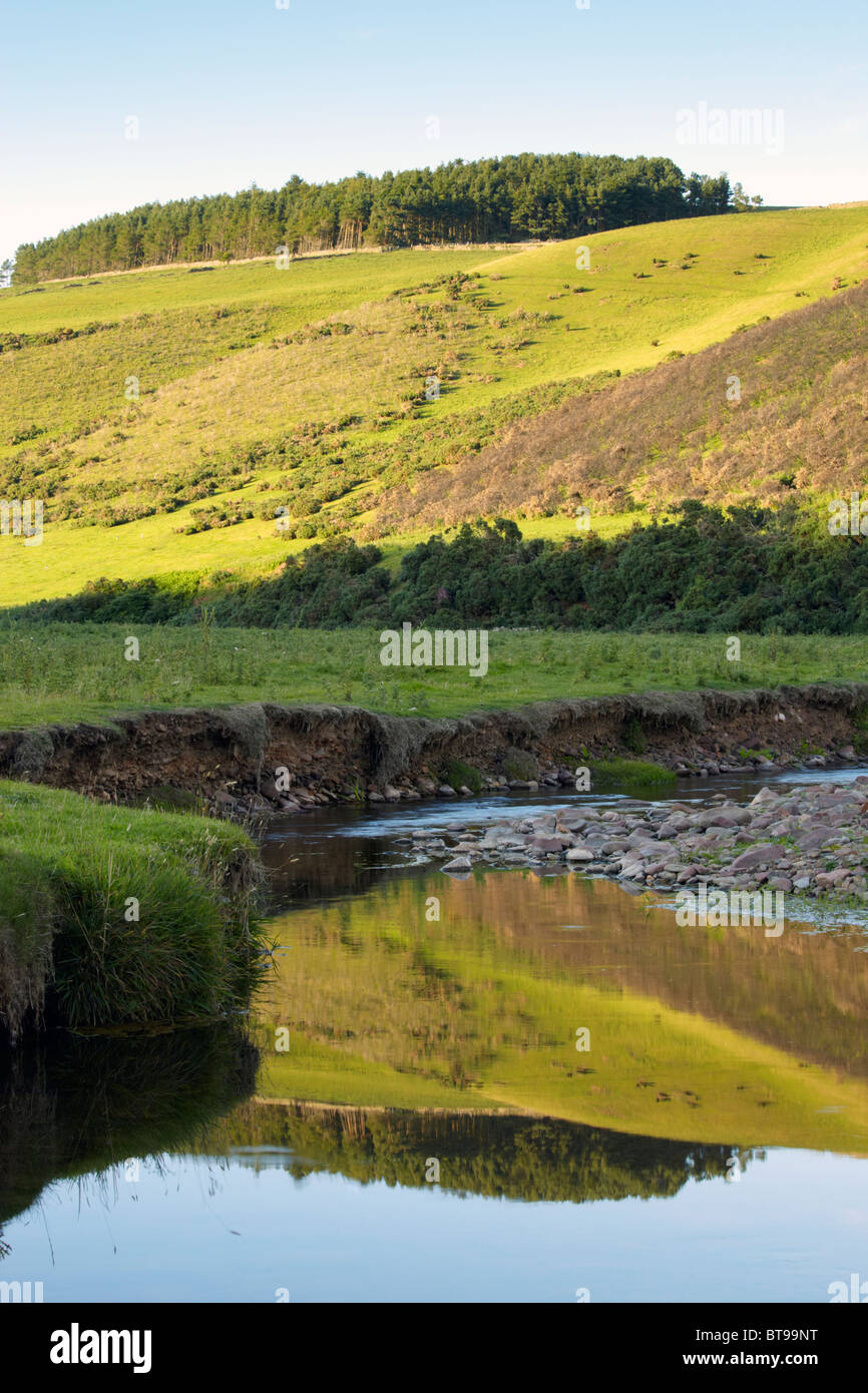 Eines der vielen Bächen, die Entleerung der Lammermuir Hügel in den Scottish Borders Stockfoto