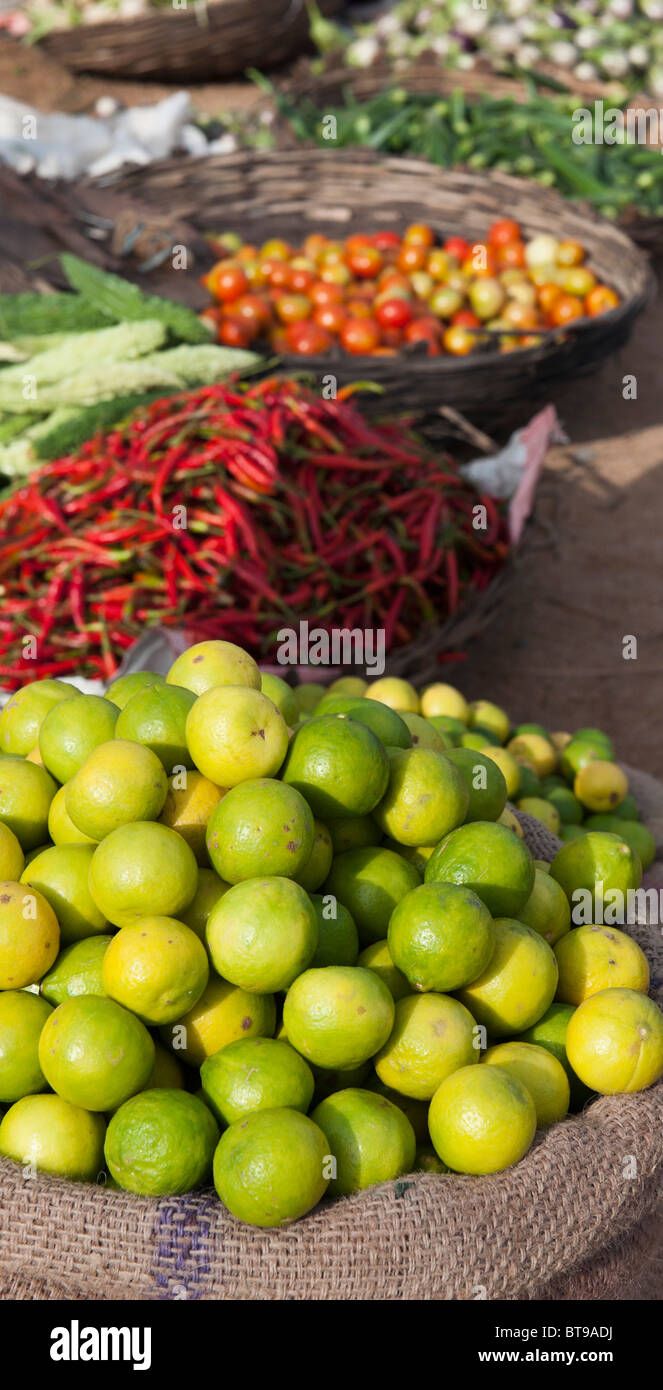 Plünderung Zitronen, Korb mit roten Chilis in einem Indien-Markt Stockfoto