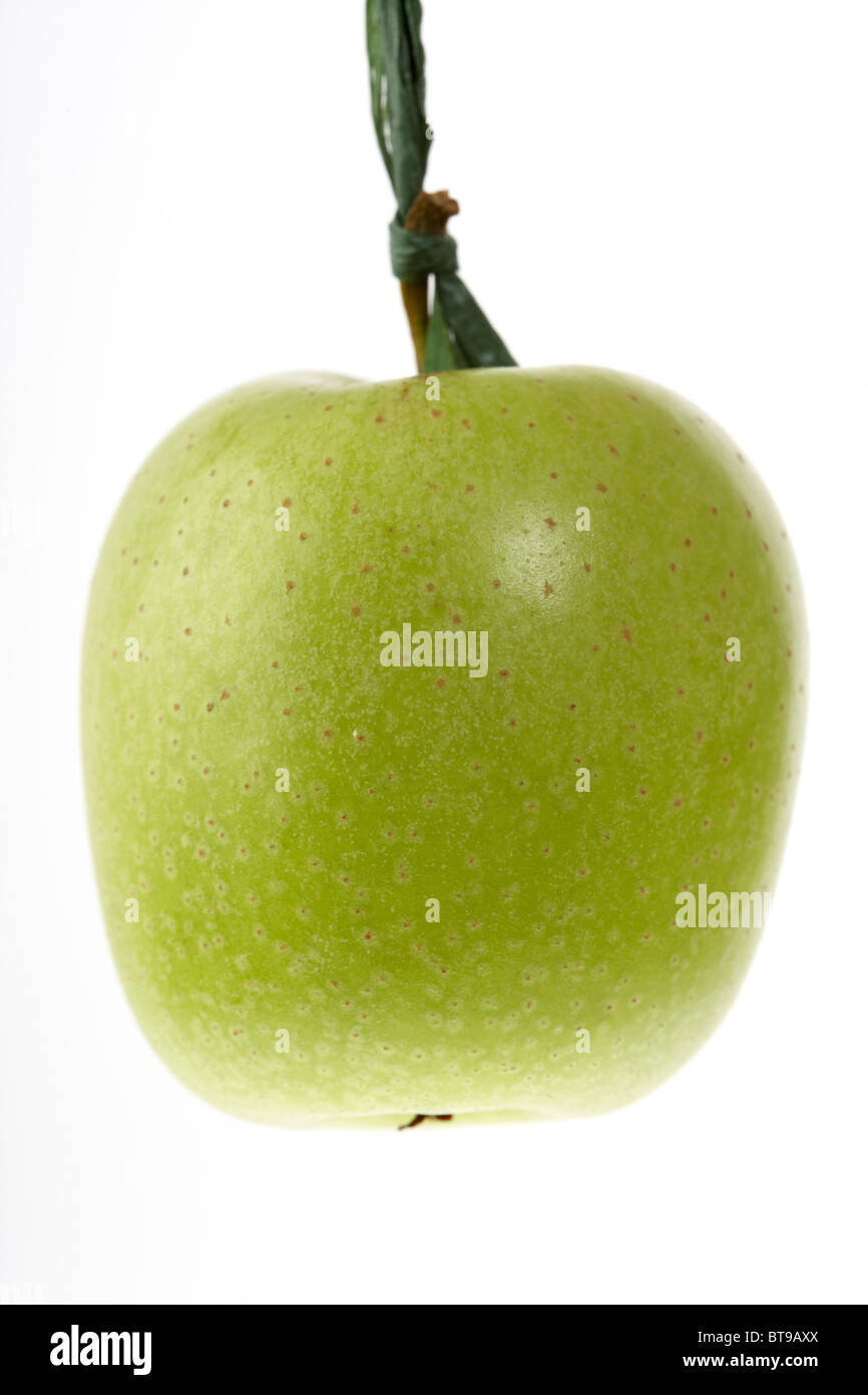 traditionell Spiel von Snap Apple in Irland Halloween erfolgt auf einen Apfel gebunden oder an der Decke aufgehängt ist Stockfoto