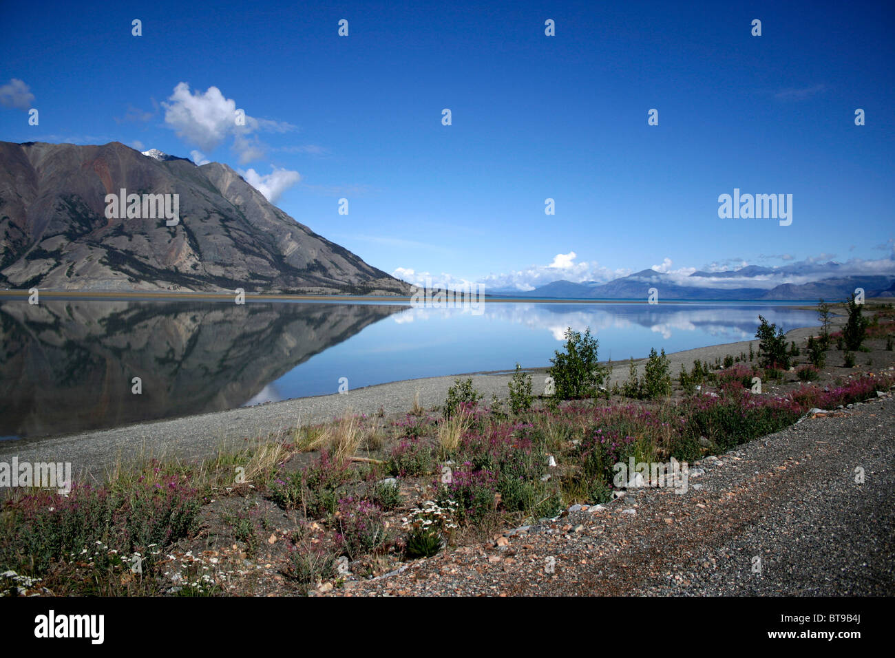Kluane Lake Stockfoto
