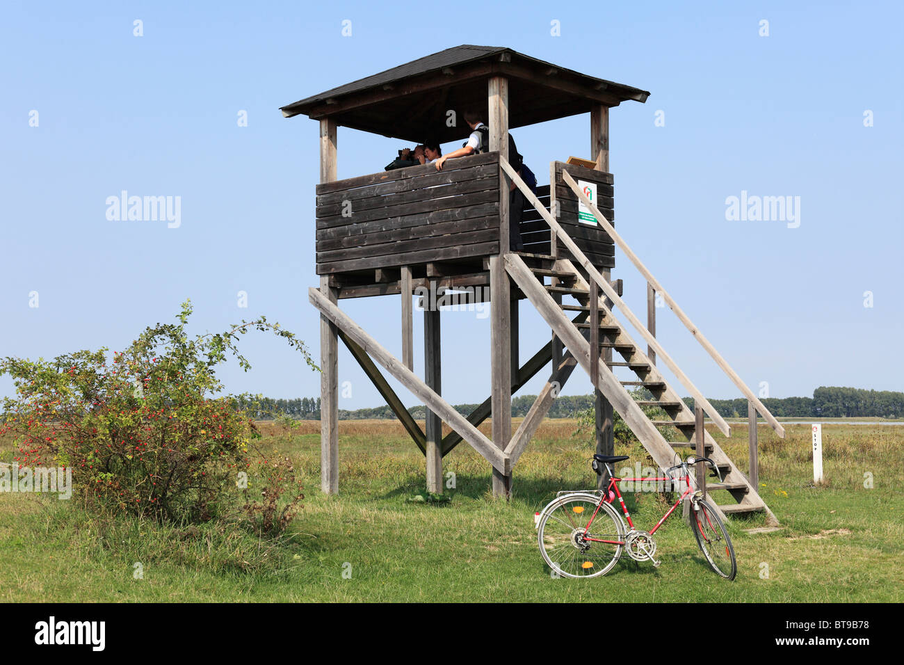 Beobachtung Ausschau, Nationalpark Neusiedler See-Seewinkel, Burgenland, Österreich, Europa Stockfoto