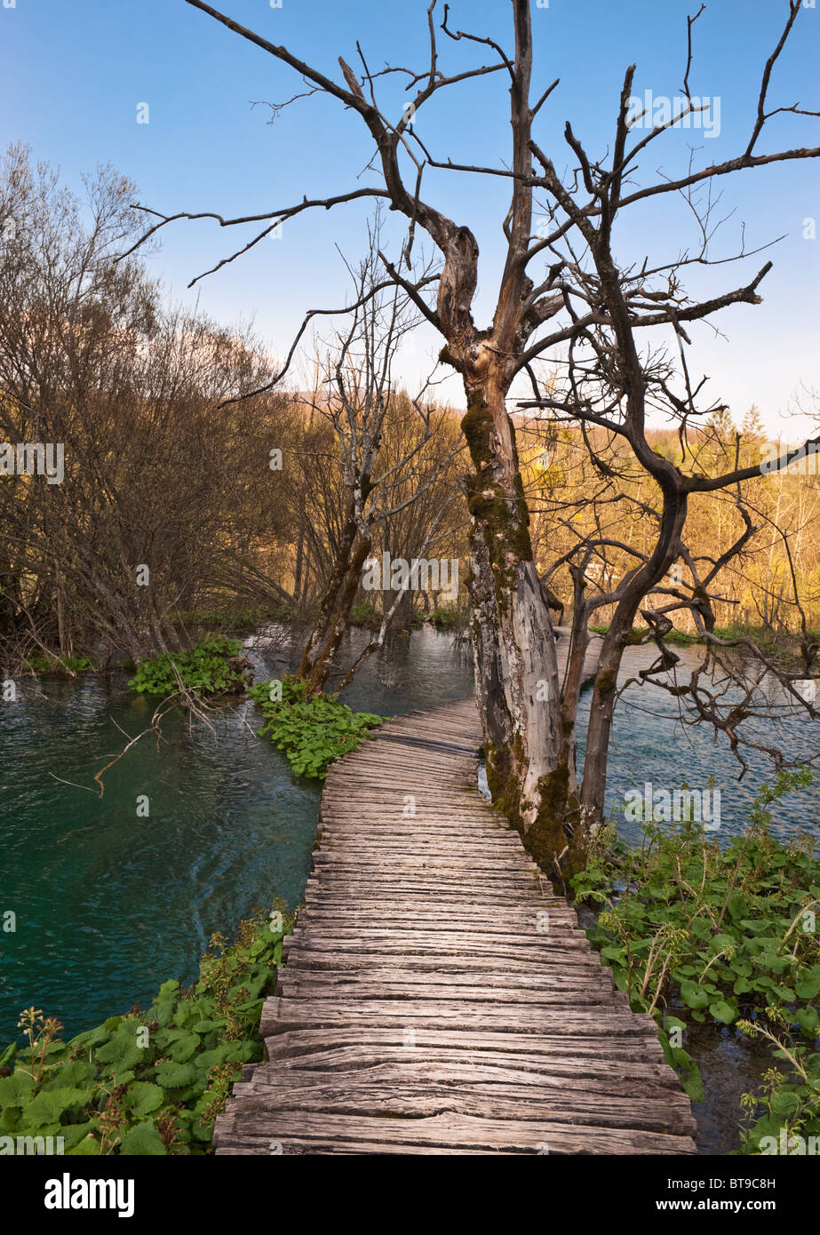 Holzsteg über türkisblaue See im Nationalpark Plitvice, Kroatien. Frühlingszeit. Stockfoto