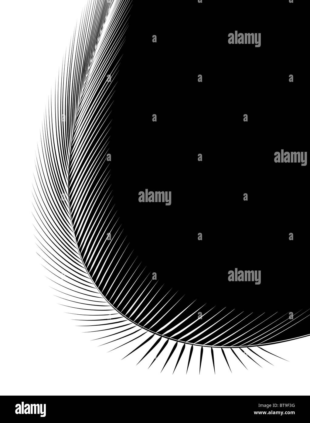 Abstrakte Darstellung einer Feder mit Textfreiraum Stockfoto