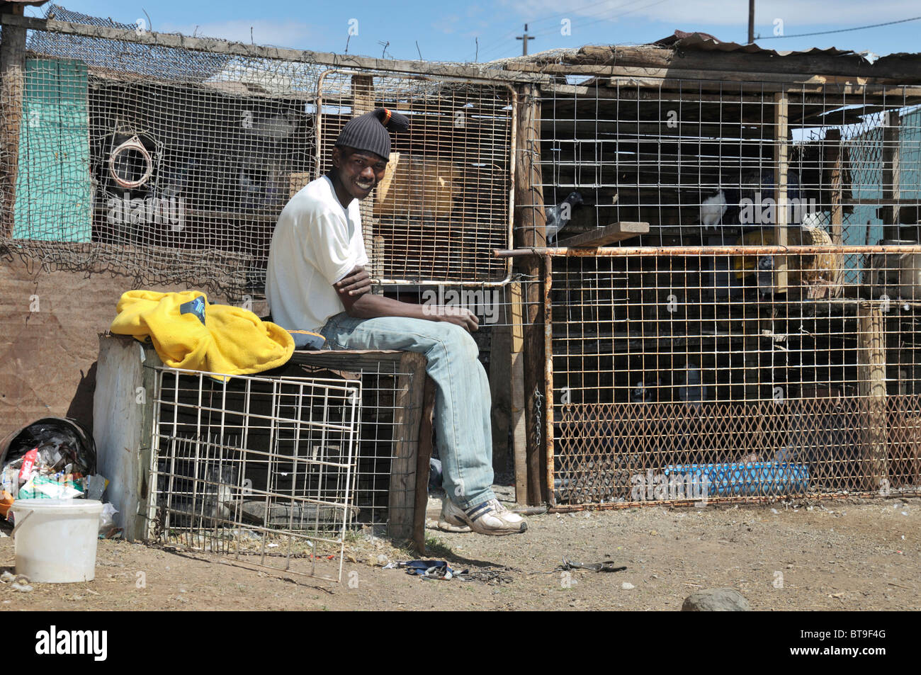 Slum, Township, junger Mann, die Zucht von Tauben in den Hinterhof, Queenstown, Eastern Cape, Südafrika, Afrika Stockfoto