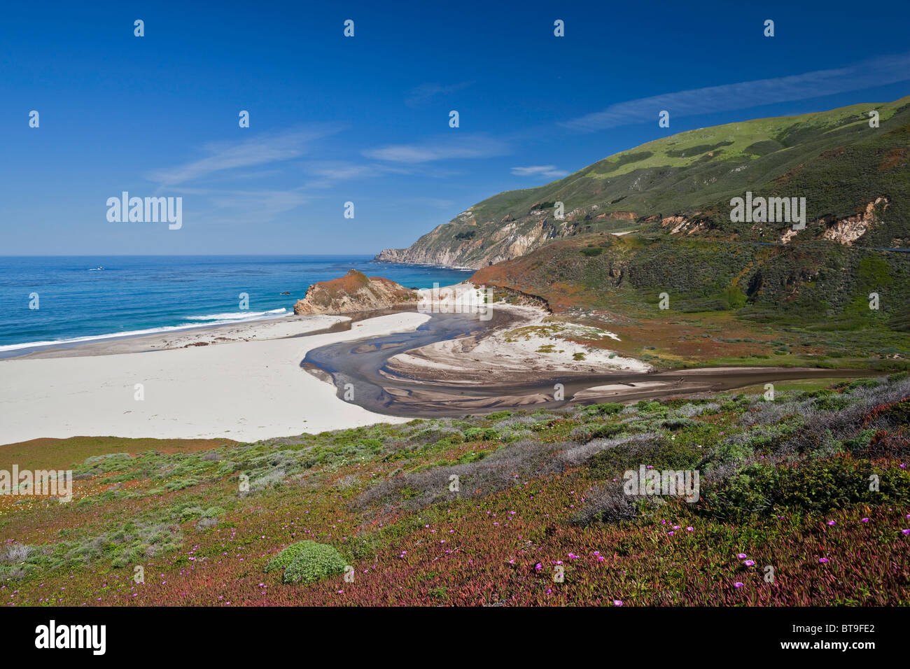 Einsamer Strand am Pazifischen Ozean, Highway 1, California, USA Stockfoto