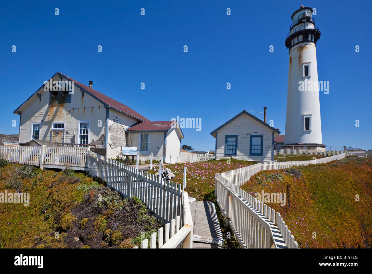 Taube zeigen leichte Station oder Pigeon Point Lighthouse, Highway 1, Kalifornien, USA, Pazifik Stockfoto