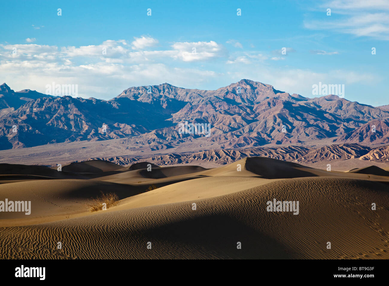 Mesquite Sand Dunes, Death Valley Nationalpark, Mojave-Wüste, Kalifornien, Nevada, USA Stockfoto