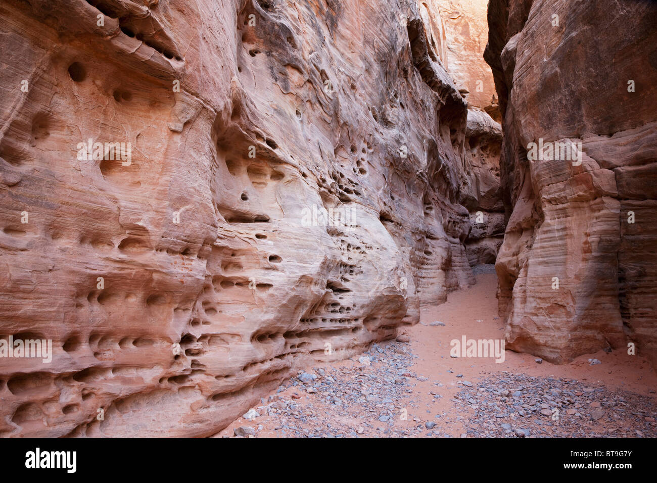 White Dome Slot Canyon, Valley of Fire State Park, Nevada, USA Stockfoto