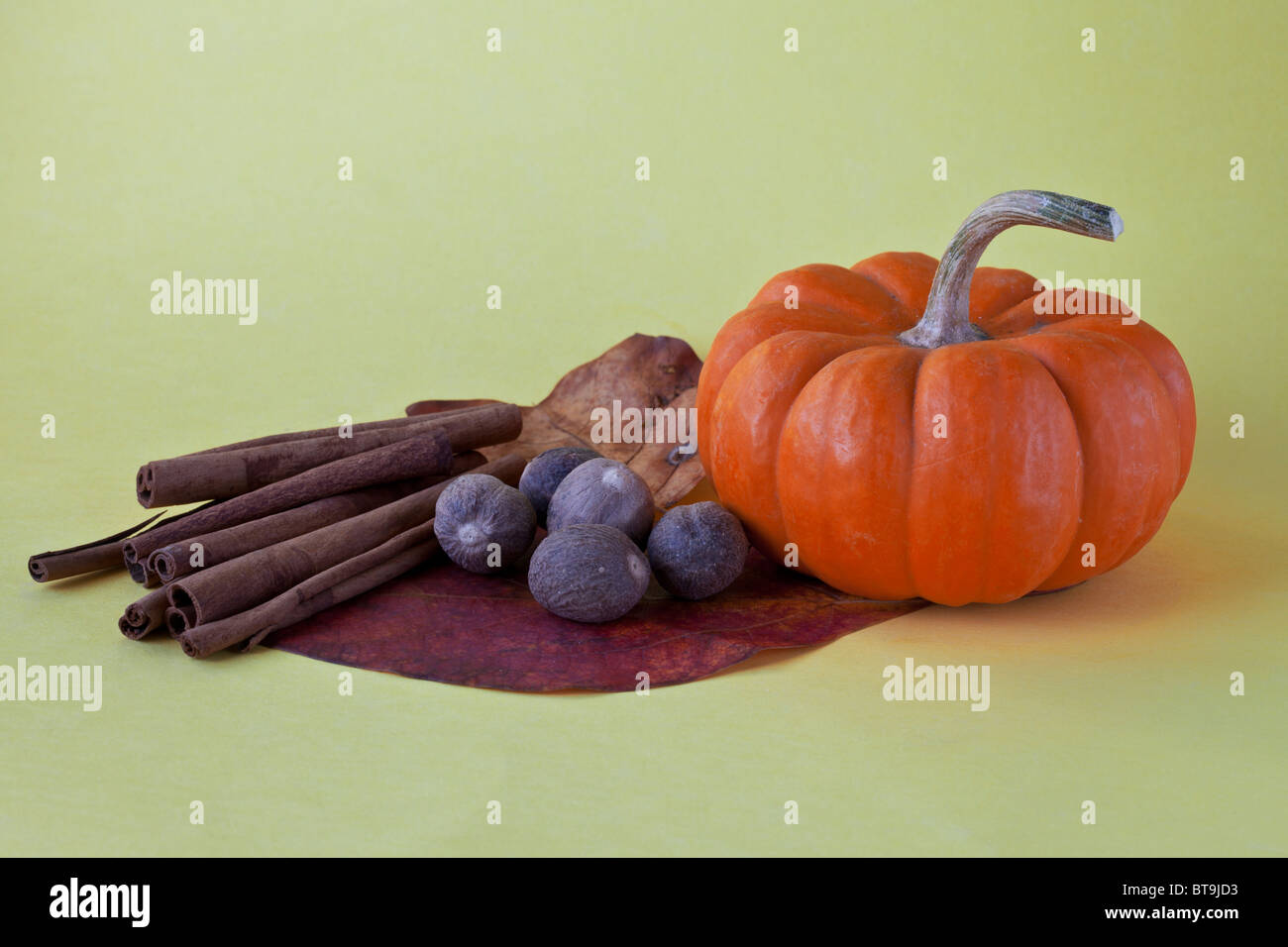 Herbst mit Kürbissen und Zimt und Muskatnuss Stockfoto