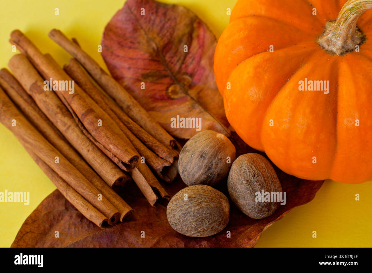 Herbst mit Kürbissen und Zimt und Muskatnuss Stockfoto