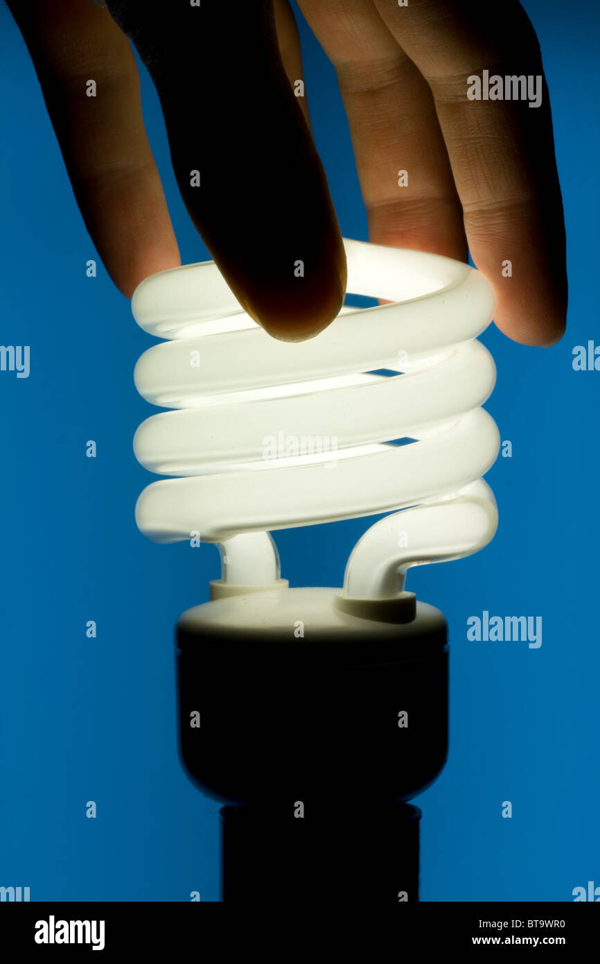 Hand, die Energie-effiziente Glühbirne installieren Stockfoto