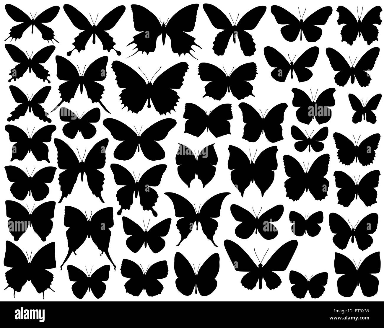 Auswahl an illustrierten Schmetterling Umrisse und Silhouetten Stockfoto