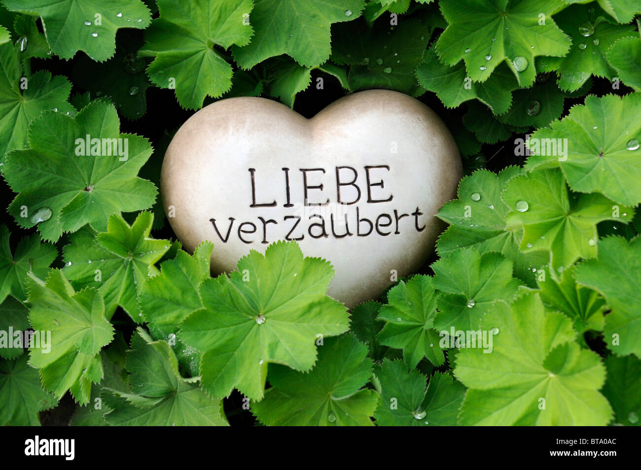 Herz mit worten Fotos und Bildmaterial in hoher Auflösung Alamy