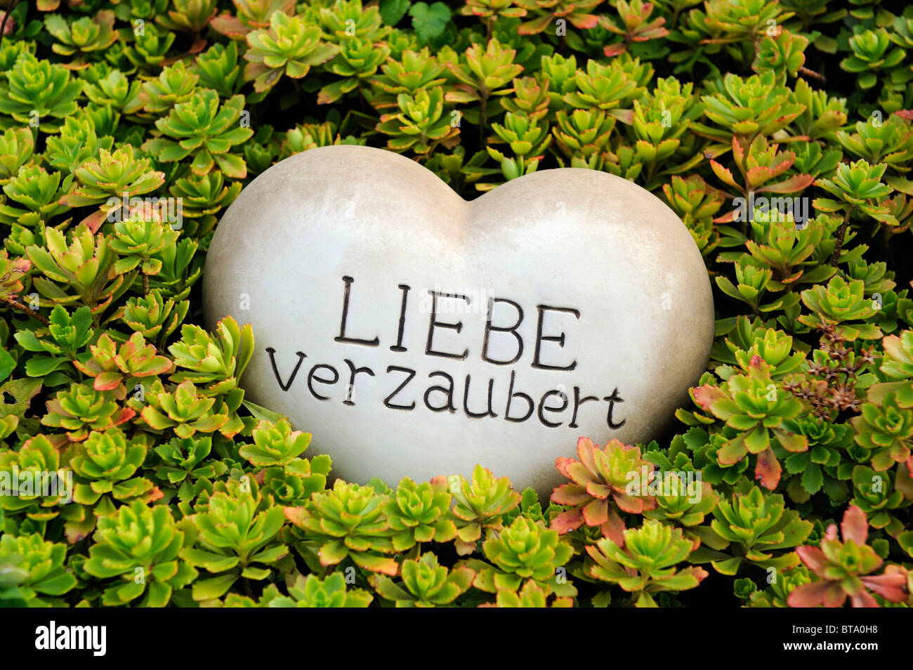 Herz Aus Stein Mit Den Worten Liebe Verzaubert Liebe Ist Fesselnd Als Garten Dekoration Zwischen Steingartenpflanzen Stockfotografie Alamy