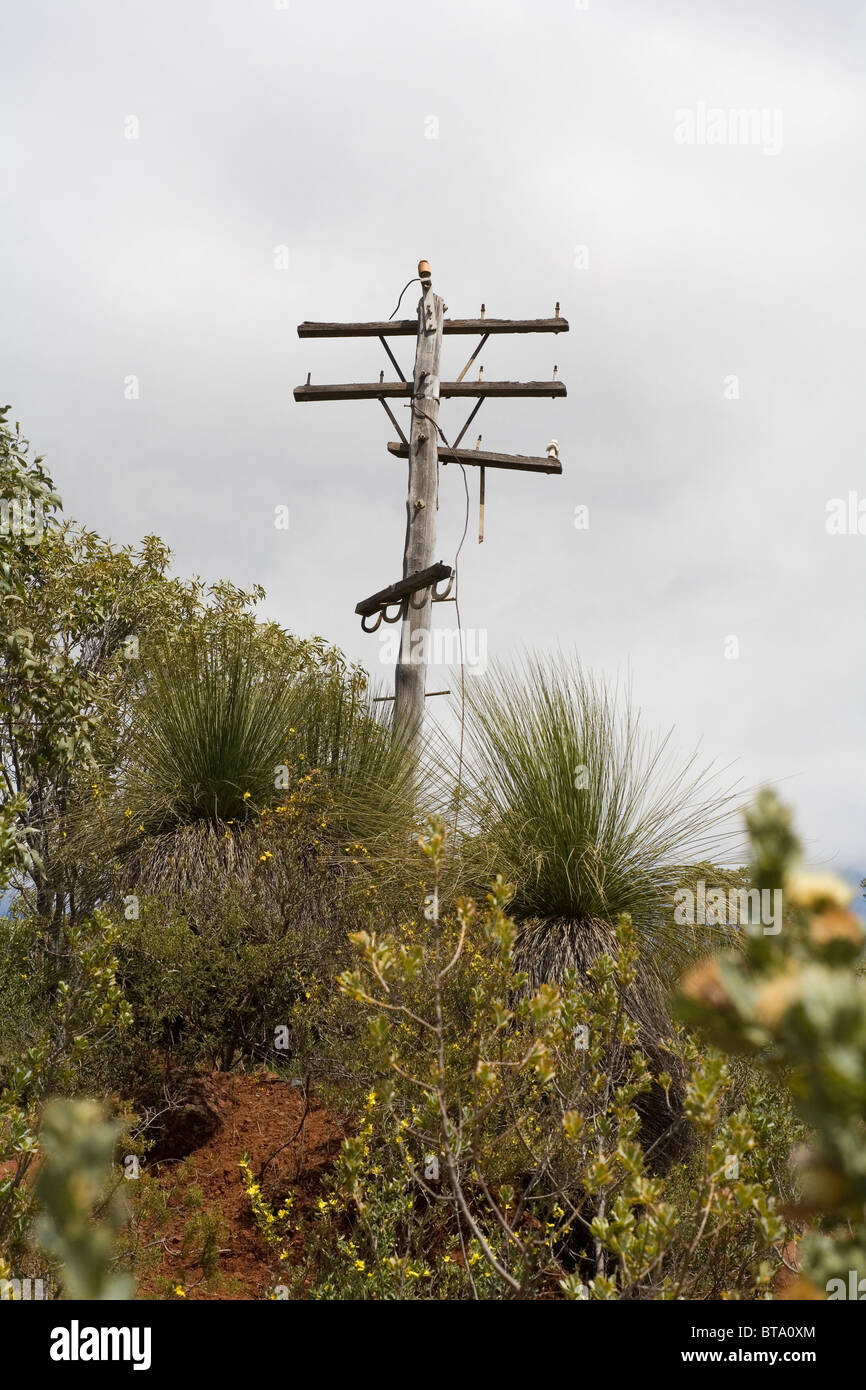 Verlassene bröckelnden Telegrafenmast in den australischen Busch Stockfoto
