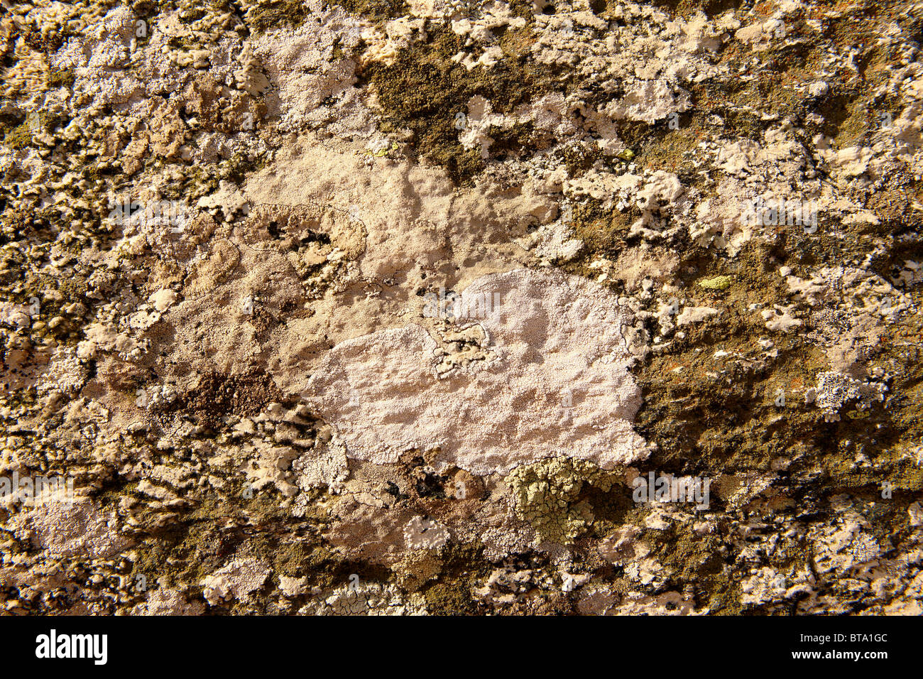 Full Frame Bild von Naturstein für strukturierten Hintergrund Stockfoto