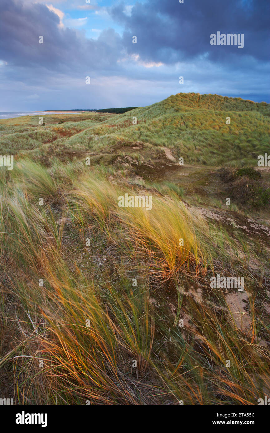 Holkham Bucht an der Nordküste Norfolk Stockfoto