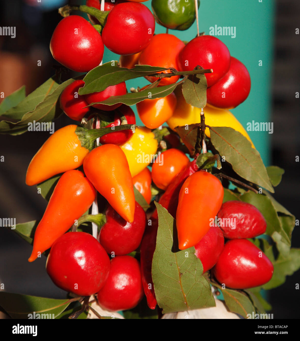 Kroatien, Istrien, Rovinj, Markt, Paprika, Stockfoto