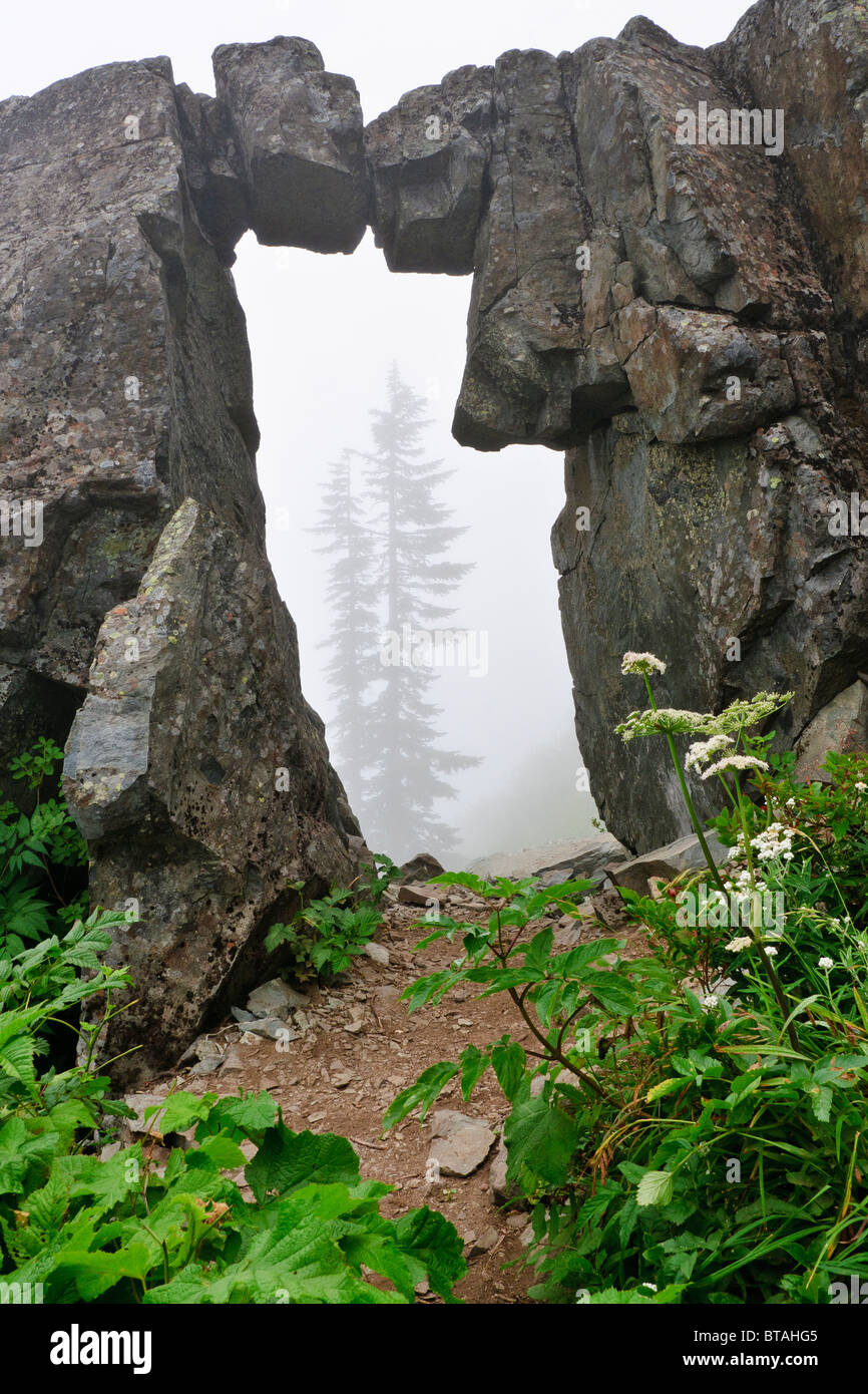 Rock Arch auf Ed Trail, Silver Star Mountain, Gifford Pinchot National Forest, Washington. Stockfoto