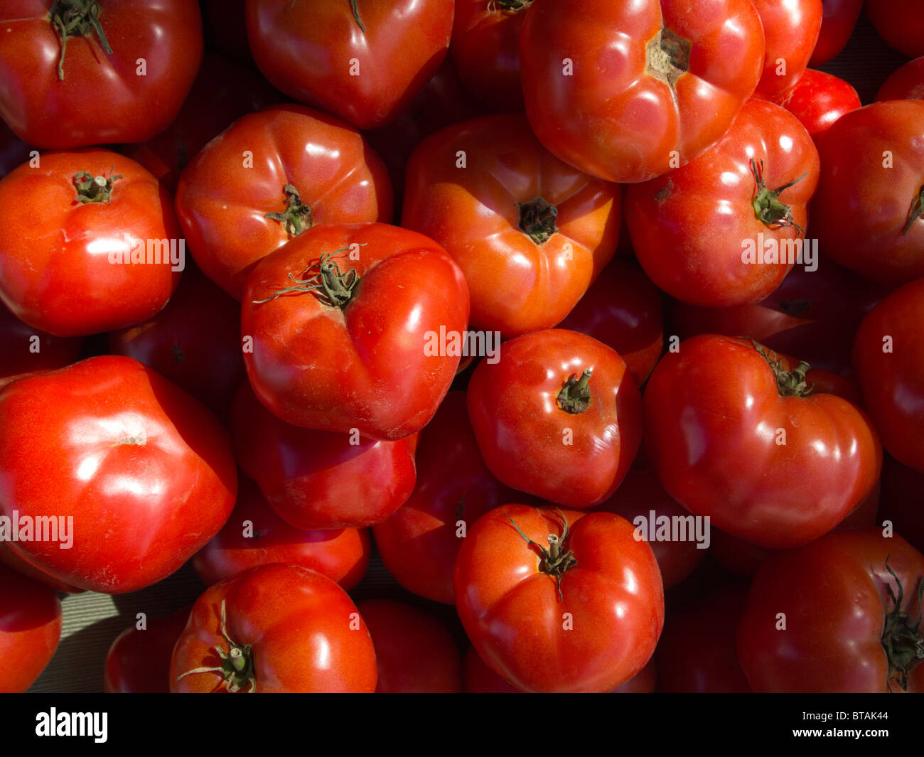 Tomaten auf einem Gemüsemarkt Stockfoto