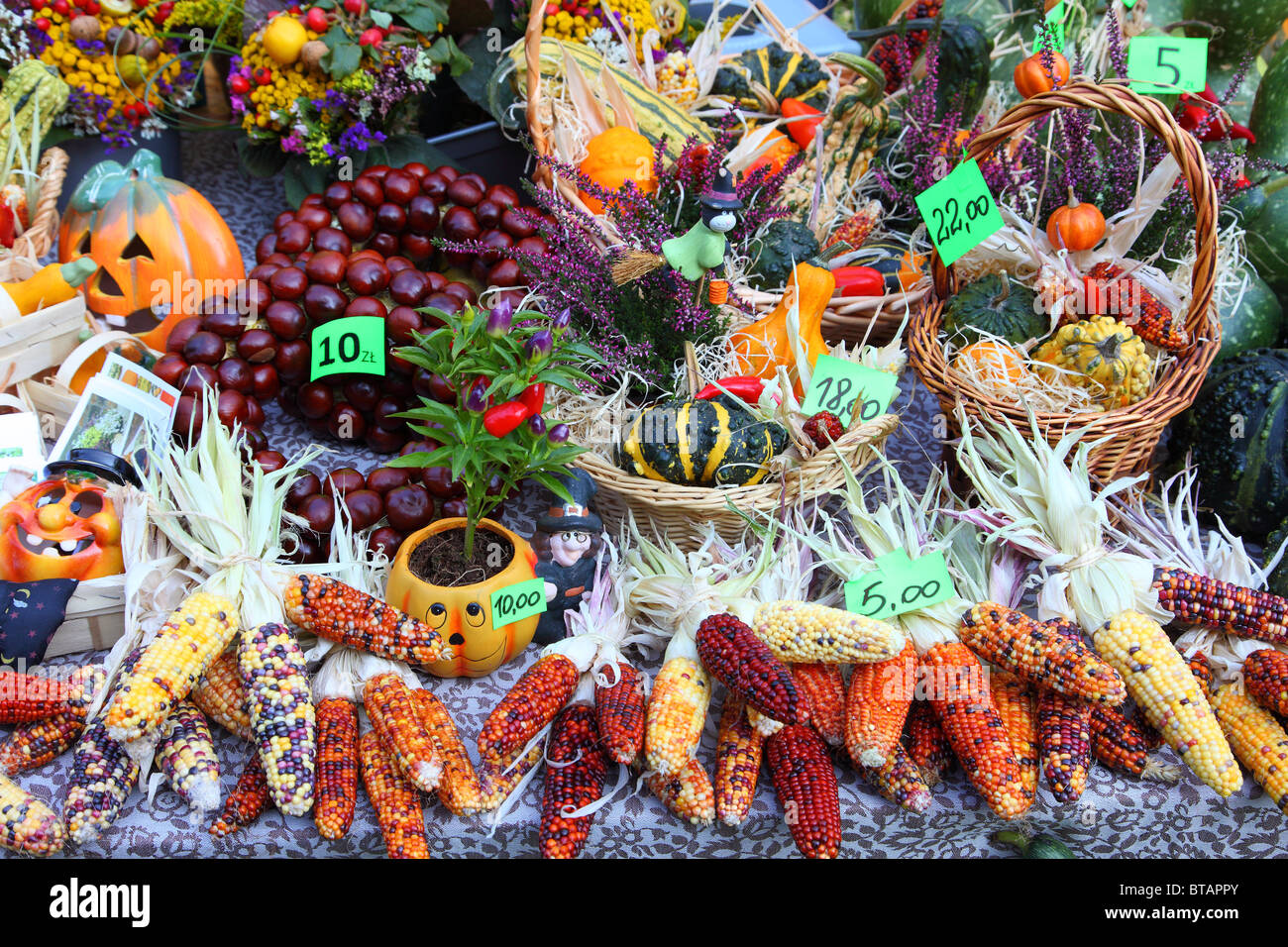 Bunter Herbst Maiskolben und Kürbisse im Herbst ernten garner Stockfoto
