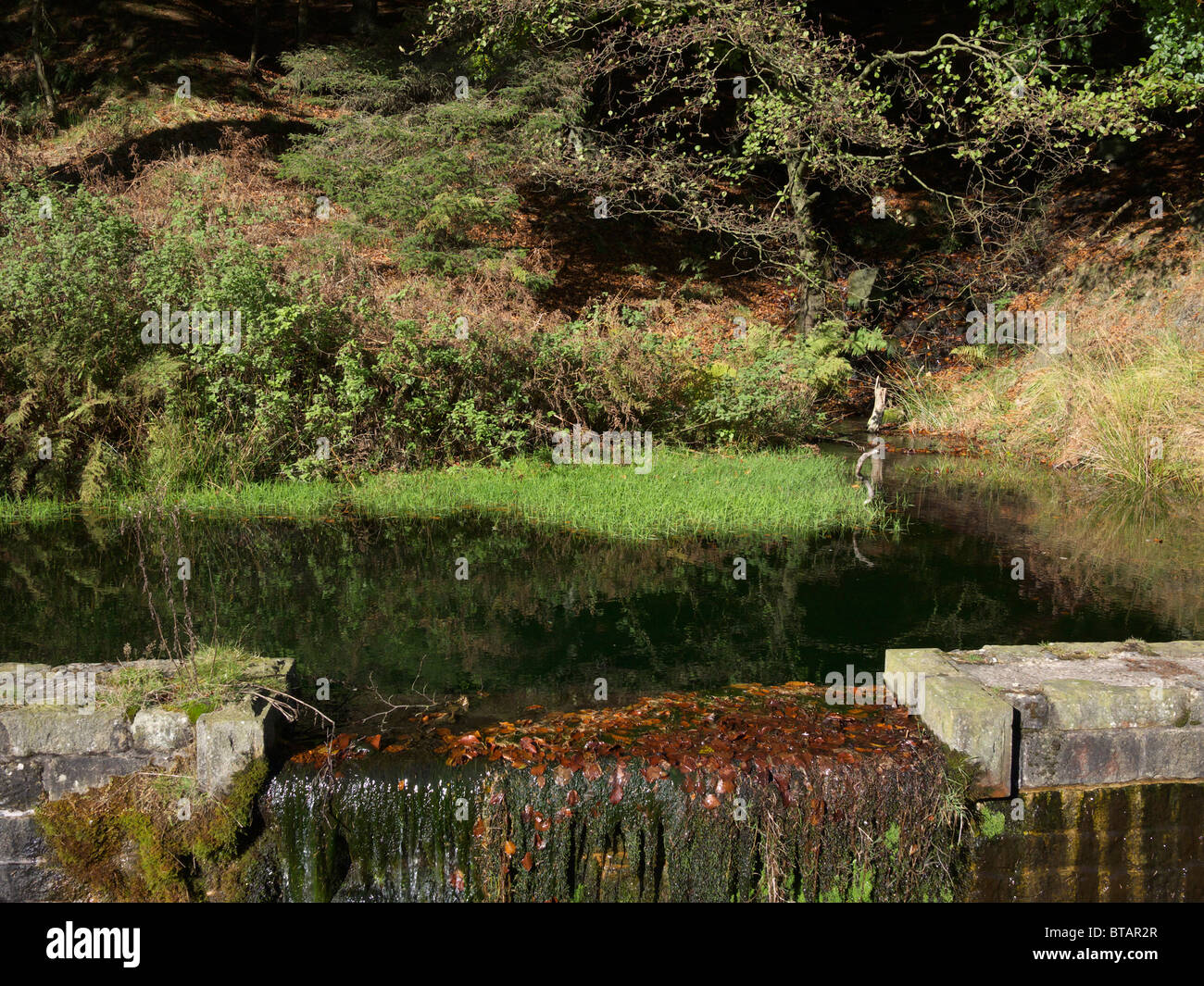 Abfluss teich Fotos und Bildmaterial in hoher Auflösung Alamy