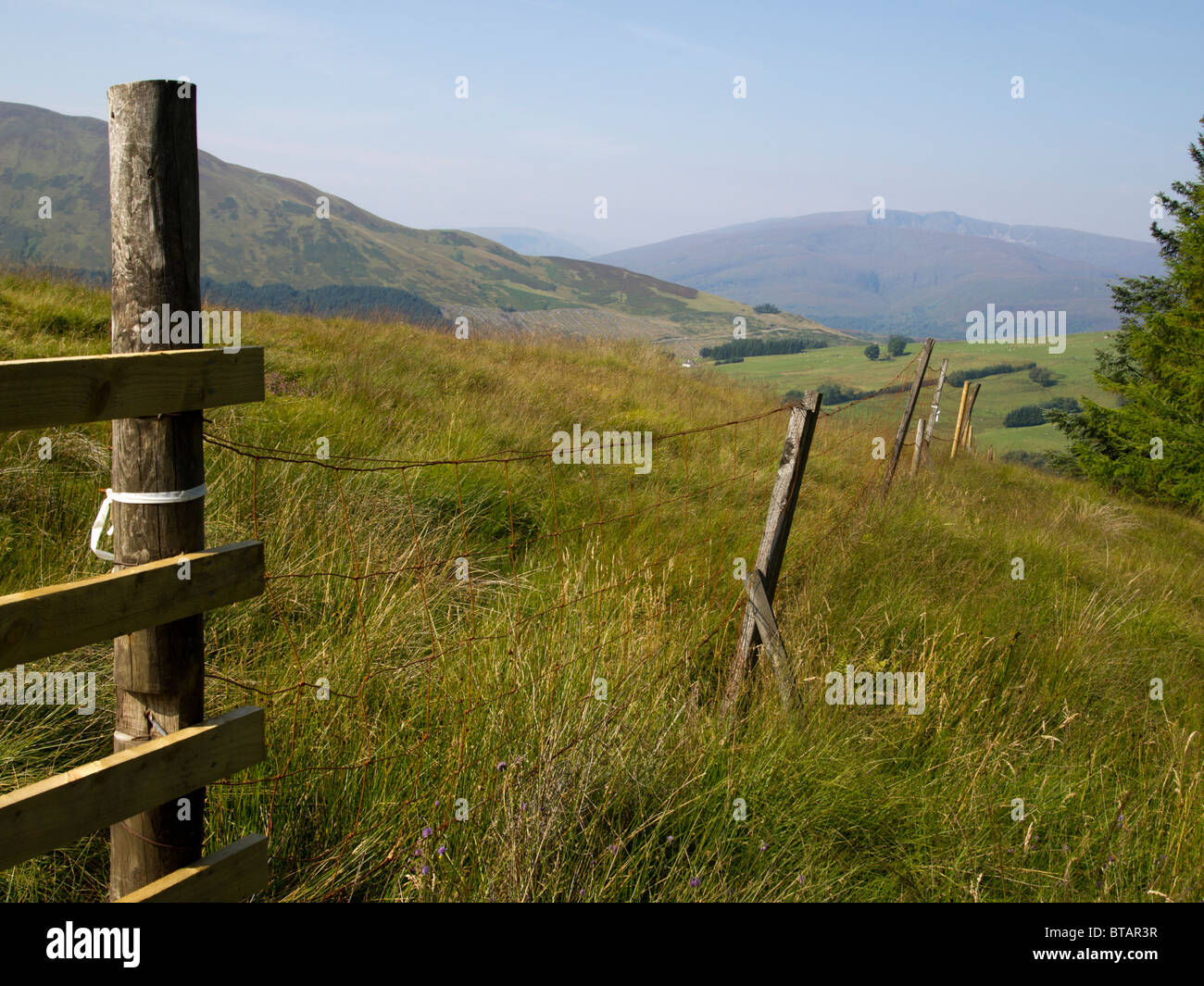 umzäunte Weide, West Highlands, Schottland Stockfoto