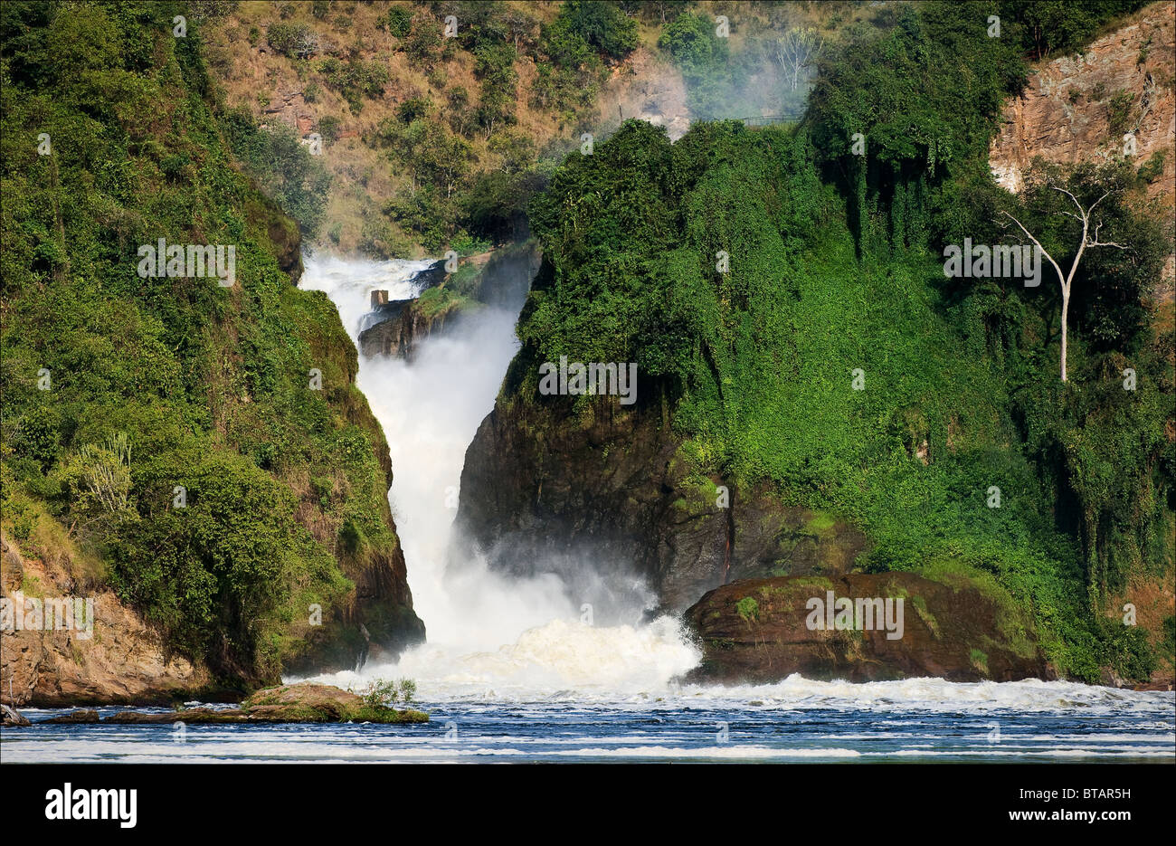 Murchison Falls brüllen eingeklemmt zwischen zwei Felsen bedeckt mit grünen Stockfoto
