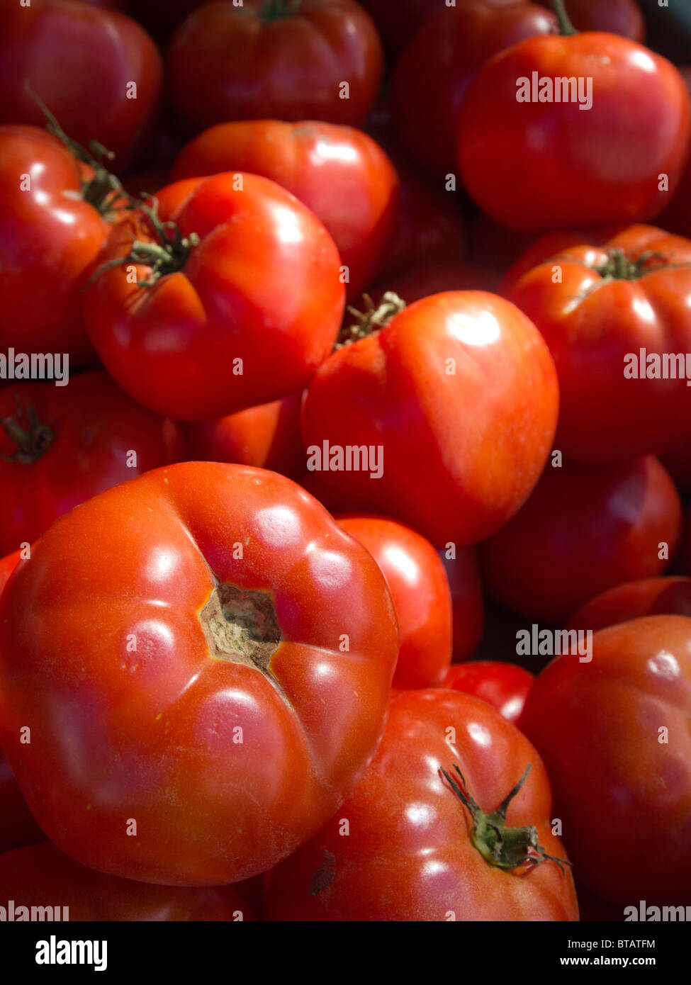 Tomaten auf einem Gemüsemarkt Stockfoto
