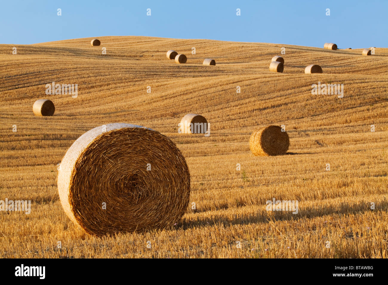 Hay rollt in einem Feld in der Nähe von Pienza, Toskana, Italien Stockfoto
