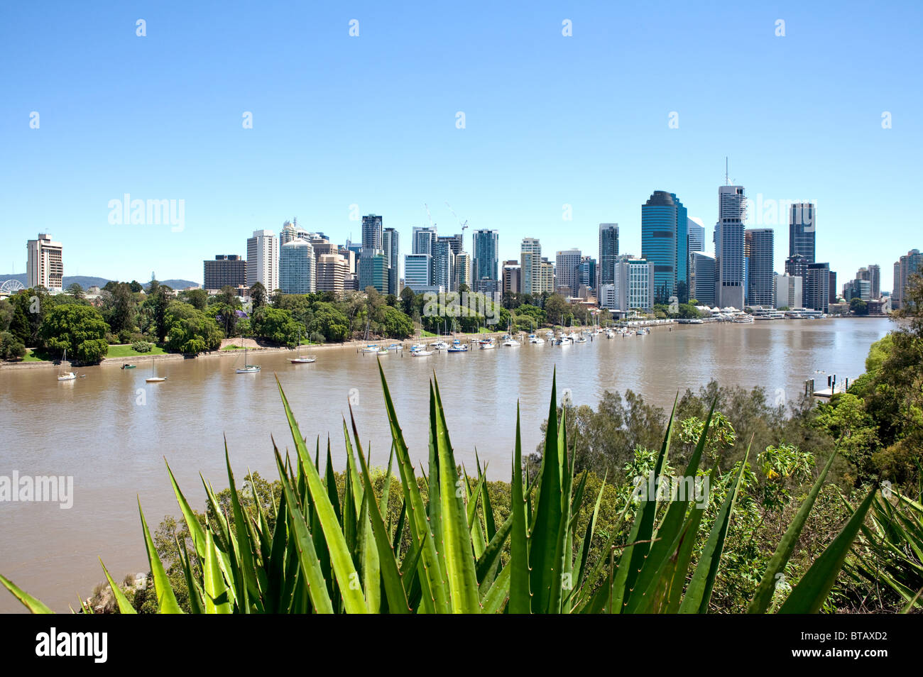 Blick auf den Brisbane River, Brisbane, QLD aus den Klippen Stockfoto