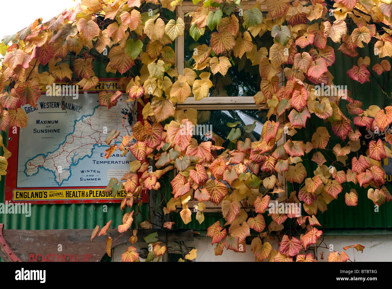 Alte Zinn Karte der Great Western Railways an Wand bedeckt mit Herbstlaub. Stockfoto