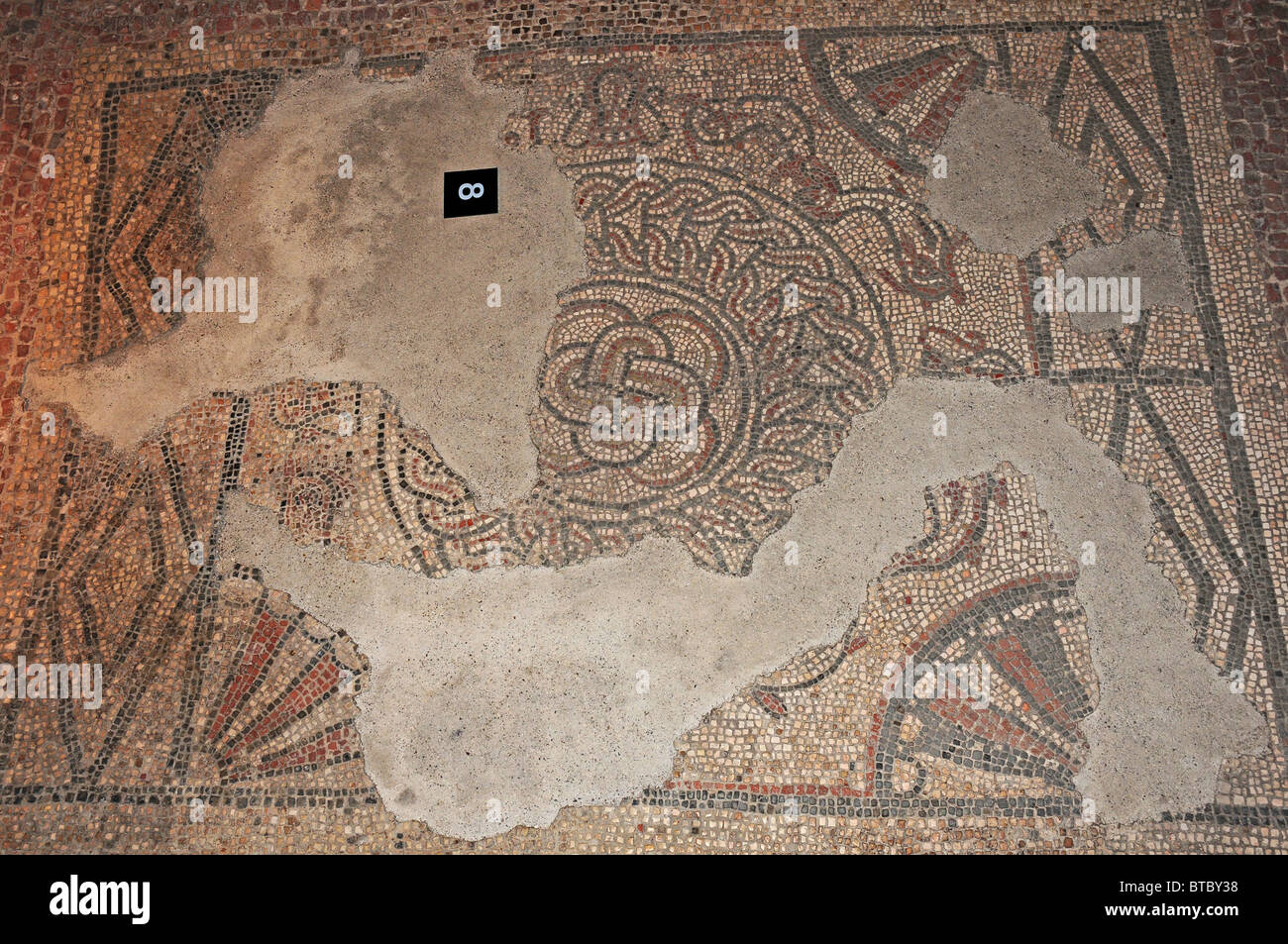 Mosaik-zentrale Knoten, Delfine und Jakobsmuscheln Muscheln zeigen. Fishbourne Roman Palace. Stockfoto