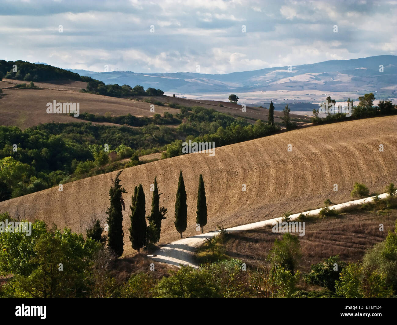 weißem Kies Straße mit Zypressen wirft lange Schatten der Toskana Italien Stockfoto