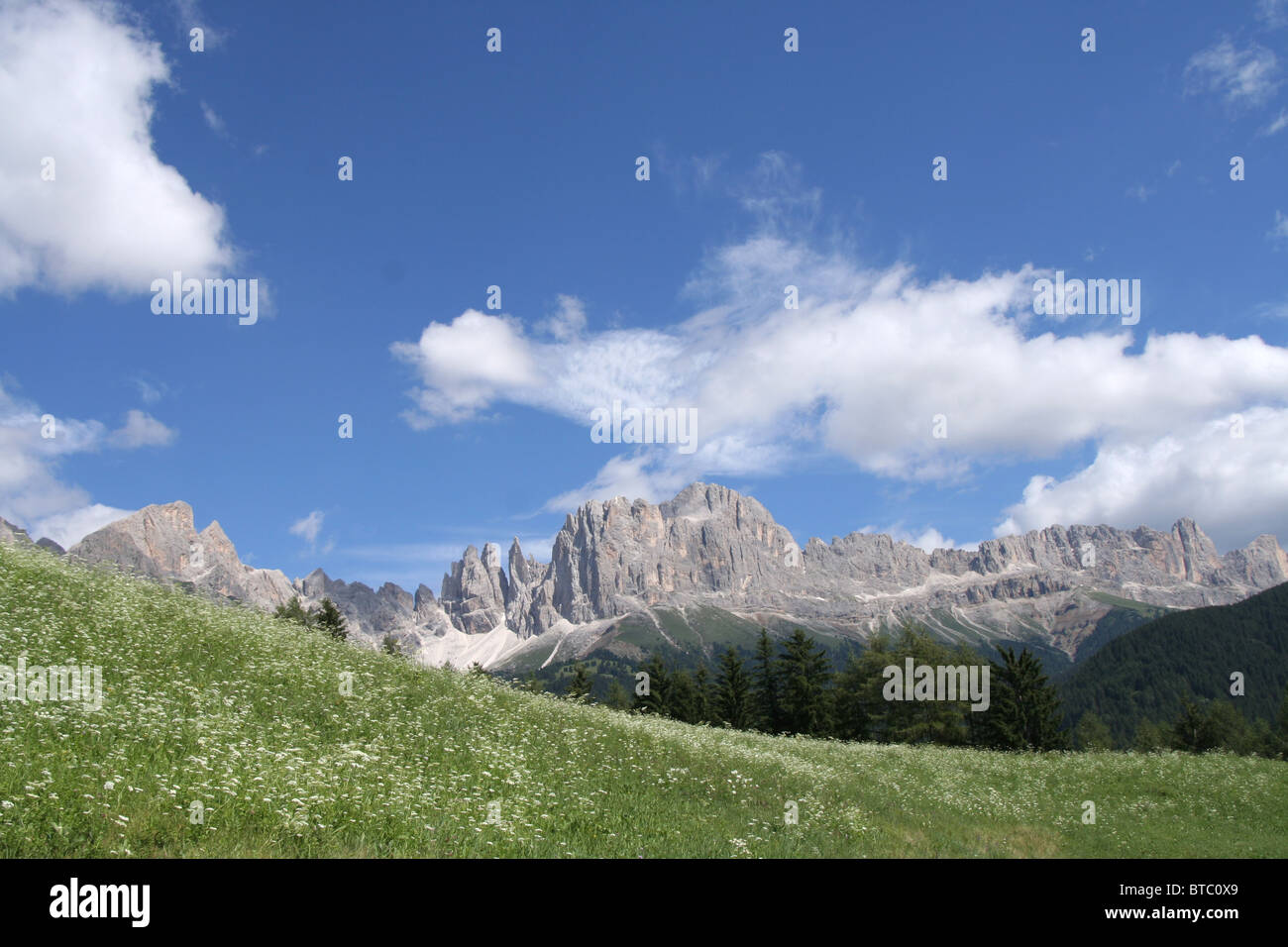 Almwiesen und Rosengarten in den Dolomiten Stockfoto