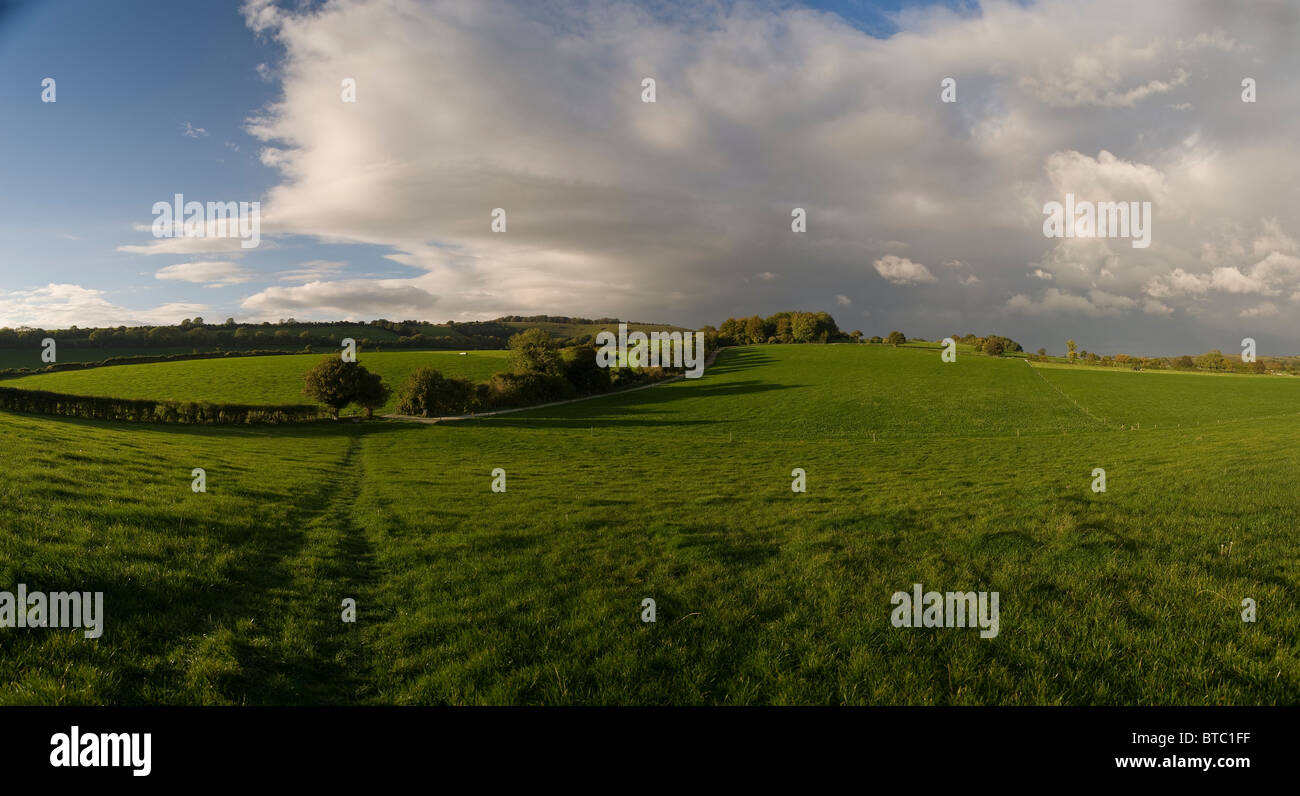 Meon Valley in der Nähe von Exton, Hampshire, UK Stockfoto