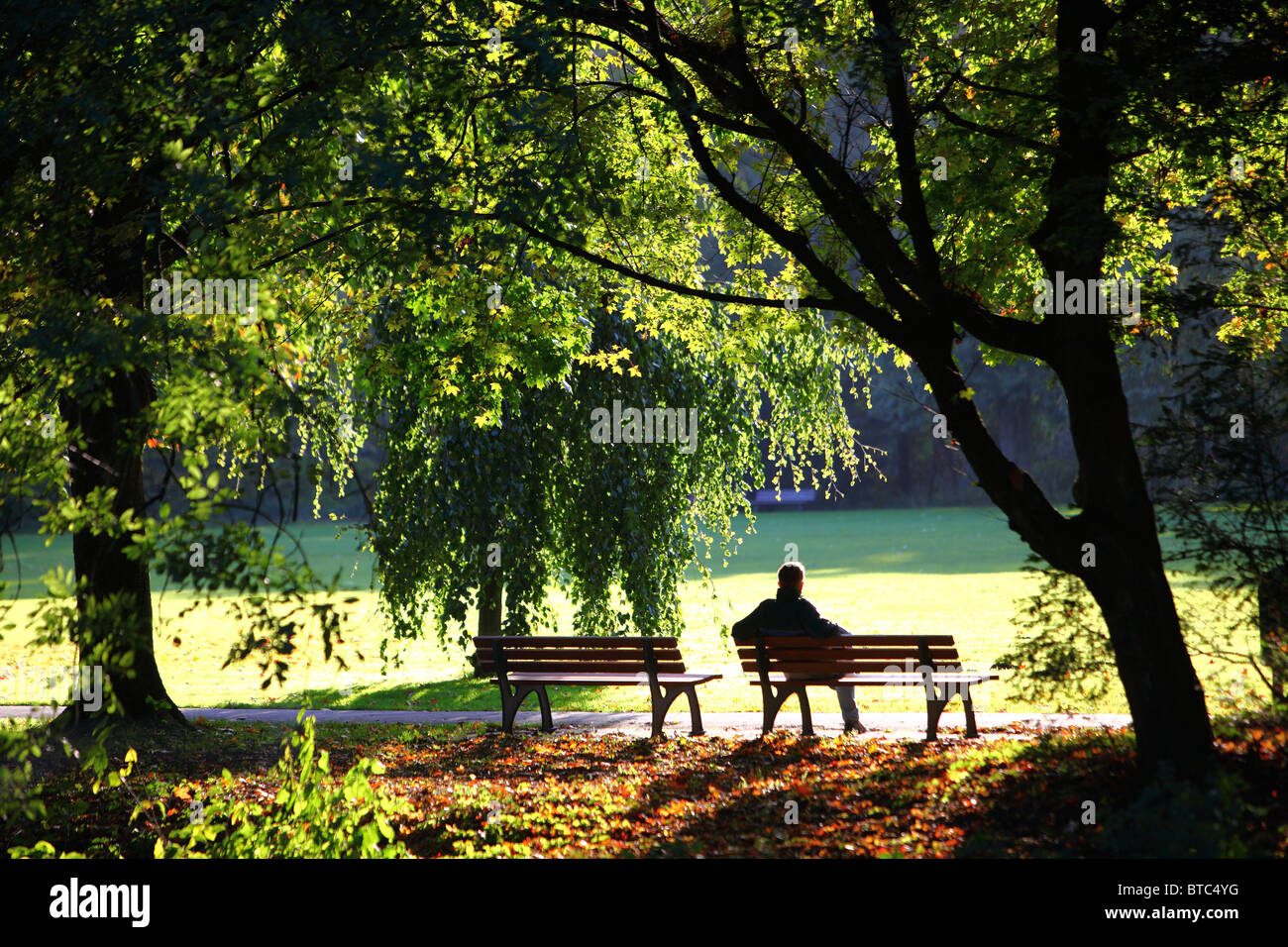 Stadtpark im Herbst.  Mann auf der Parkbank. Die Sonne genießen. Stockfoto