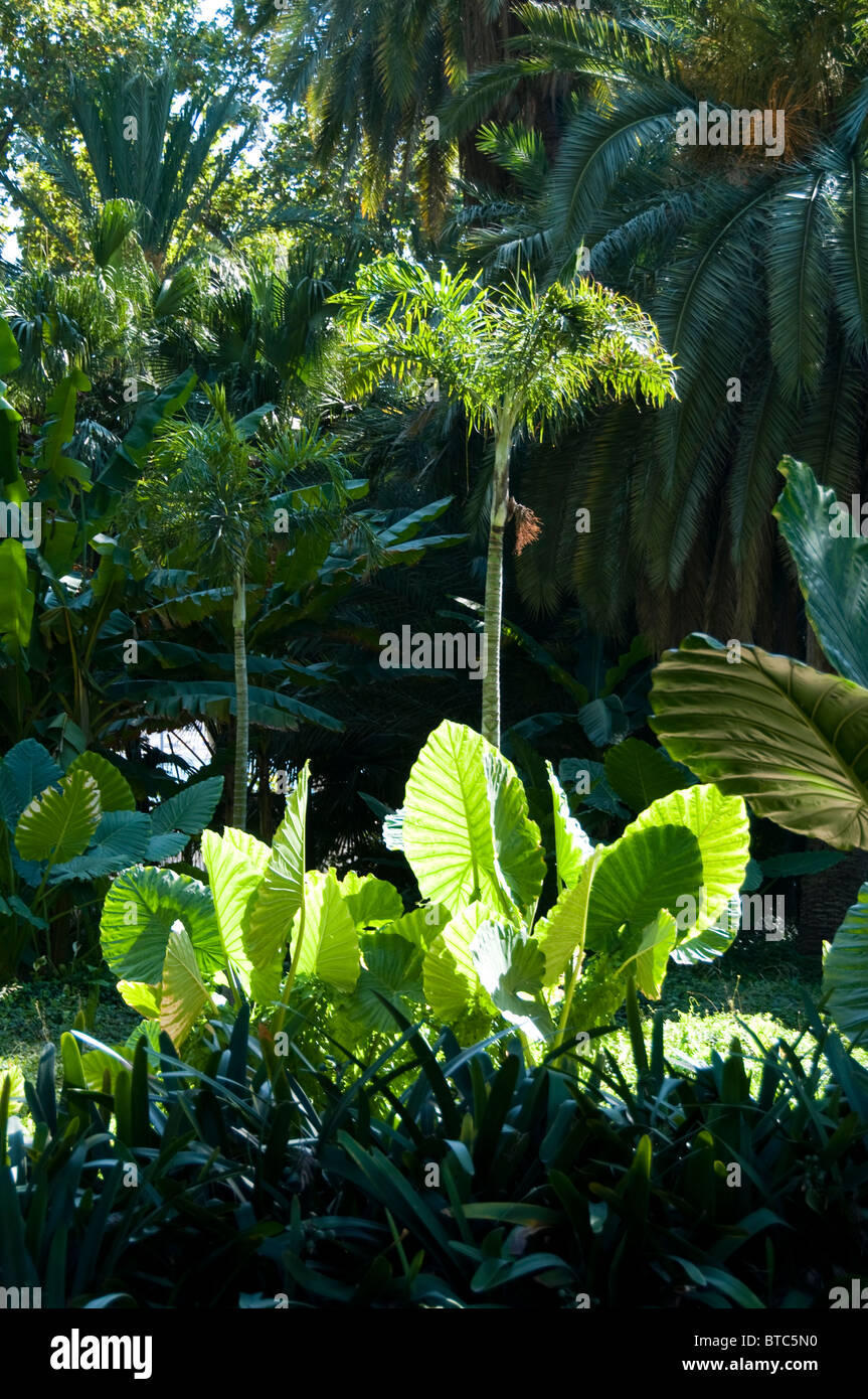 Spanien Andalusien Spanien Andalusien Malaga Park Garten Meer Bäume Stockfoto