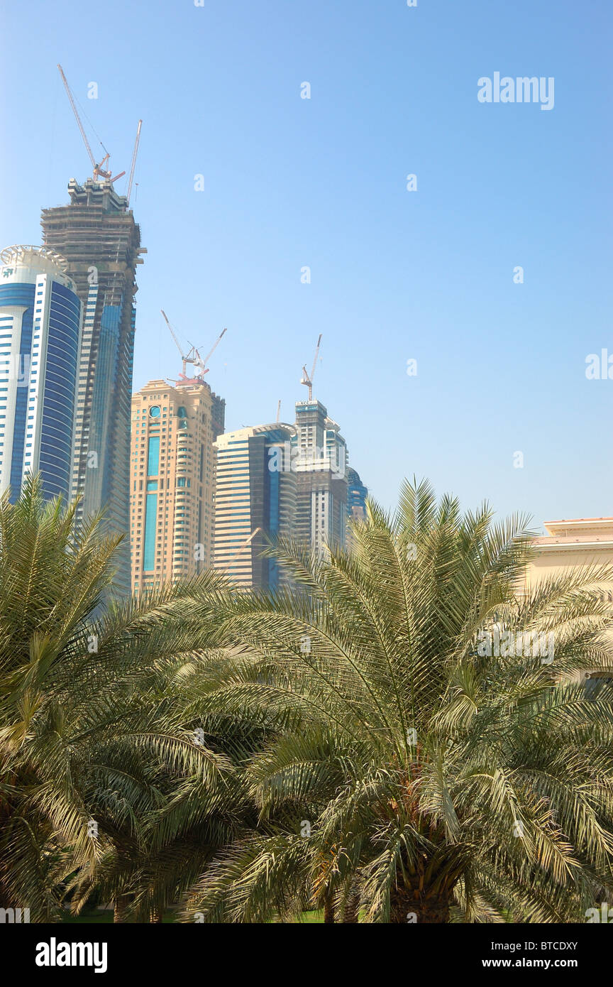Palmen am Erholungsgebiet im luxuriösen Hotel, Dubai, Vereinigte Arabische Emirate Stockfoto