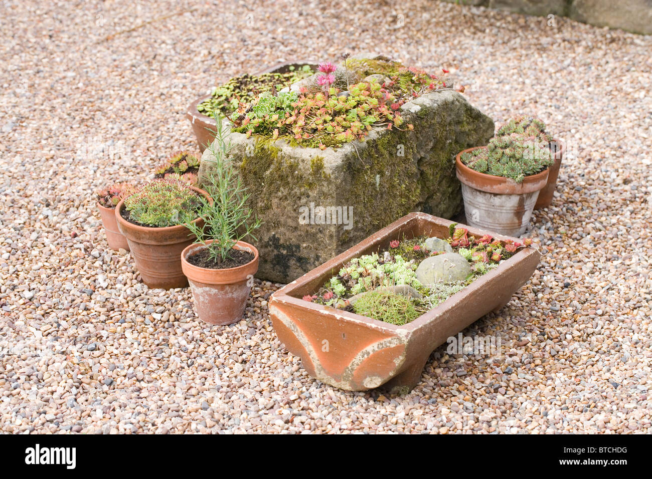 Pflanzenbehälter; alten Bauernhof Steintrog, Keramik Töpfe, alte Geflügel Keramik Wassertrog, auf einer geschotterten Fläche inmitten eines Gartens. Stockfoto