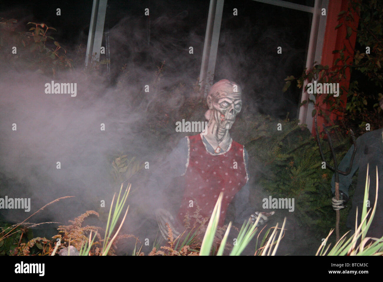 Gruselige Zombies verfolgen dieses Gartens an Halloween. Stockfoto