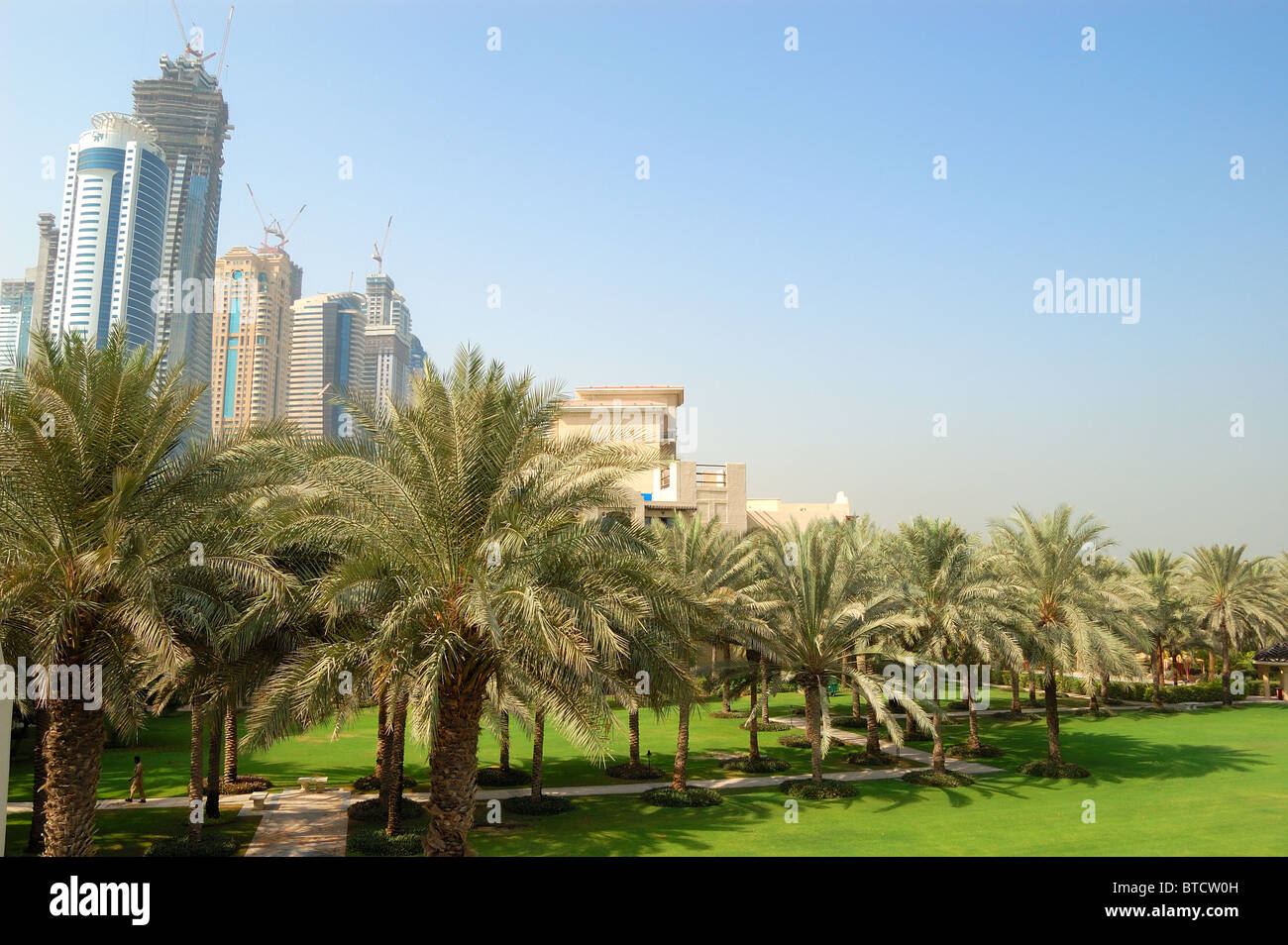 Palmen am Erholungsgebiet im luxuriösen Hotel, Dubai, Vereinigte Arabische Emirate Stockfoto