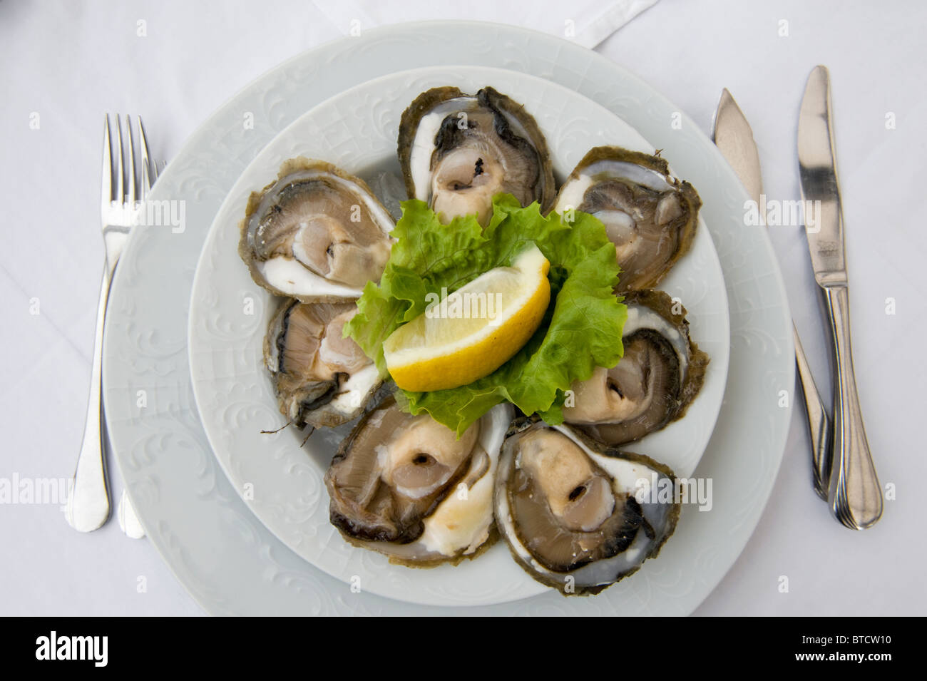 Frische Austern auf einem Teller Stockfoto