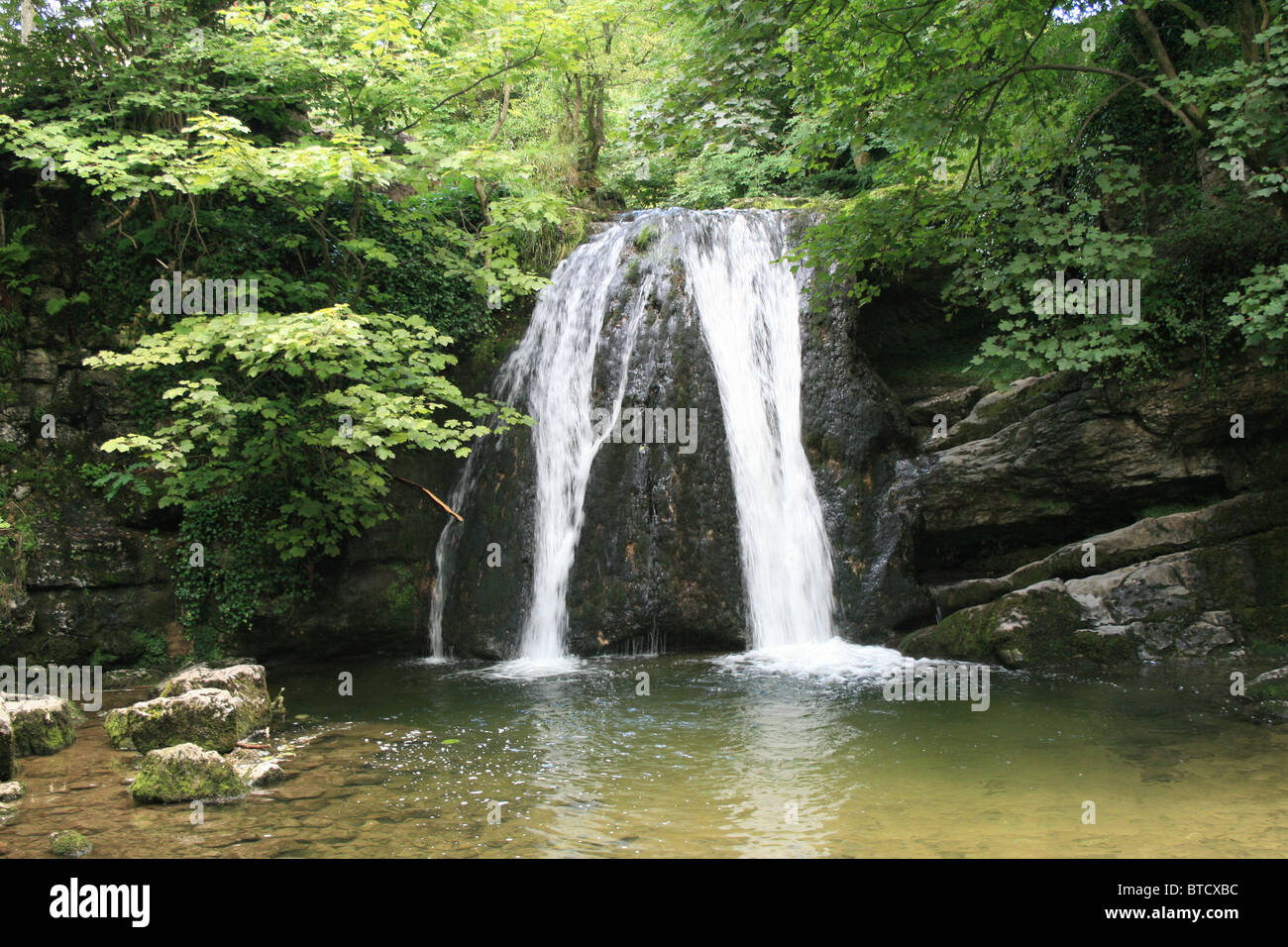 Janet's Foss transportiert Wasser von Gordale Beck zum Fluss Aire unterhalb des Dorfes Malham. Auch bekannt als Jennet's Foss, nach der Fee, die angeblich hier lebt. Stockfoto