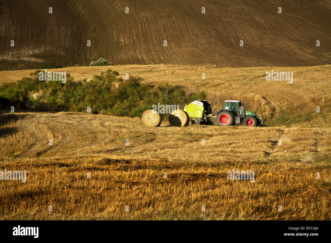 Traktor Ernte Maisfelder in der Nähe von Pienza Toskana Italien Stockfoto