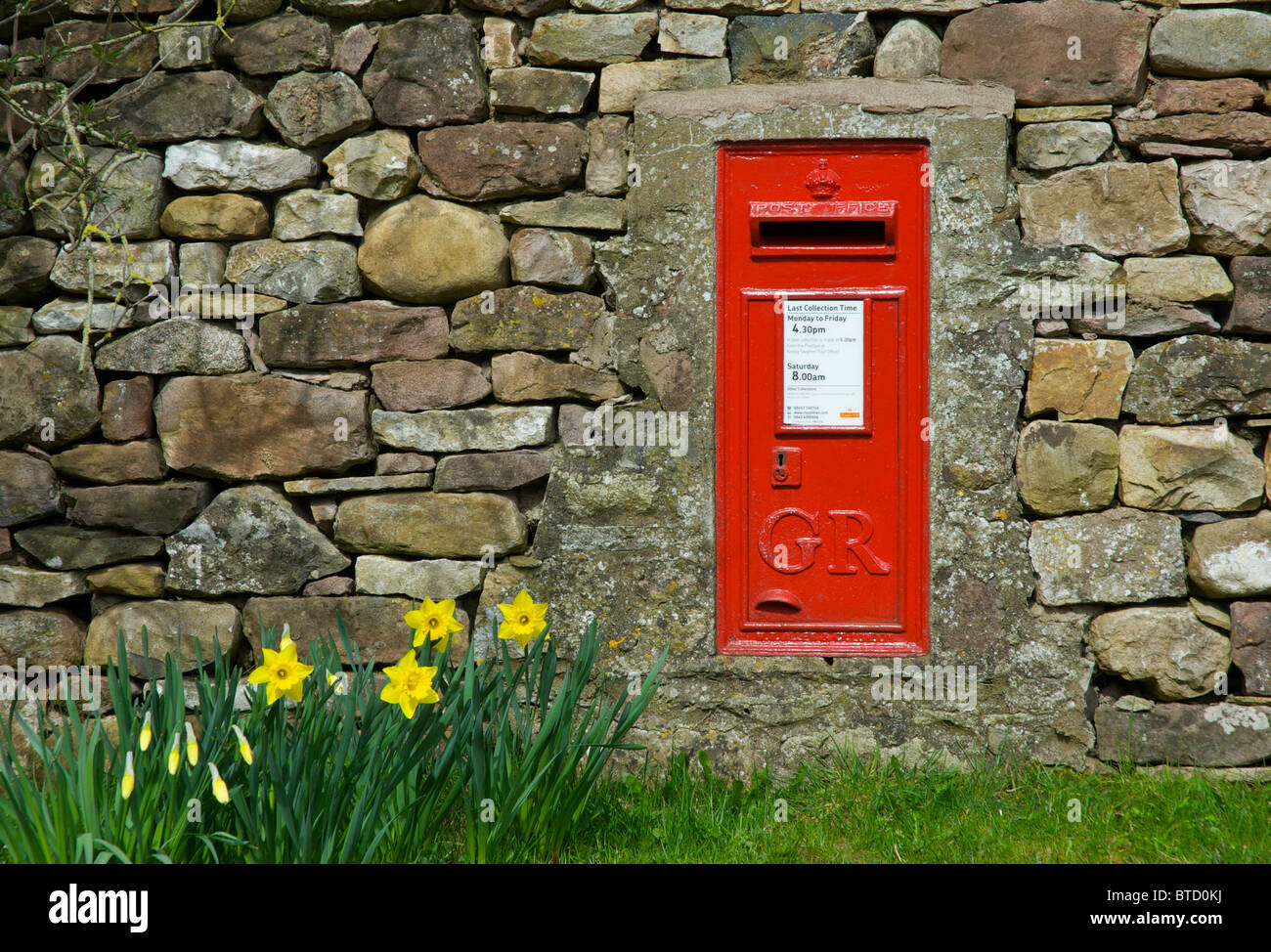 Briefkasten in Steinmauer mit Narzissen gesetzt Stockfoto