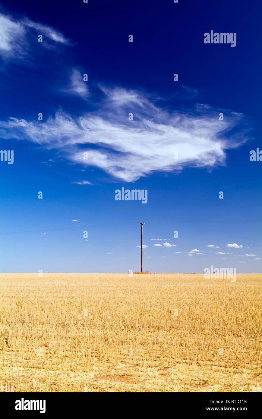 Weizenfelder im Land Australien mit einem einzigen Strommast und cloud Stockfoto